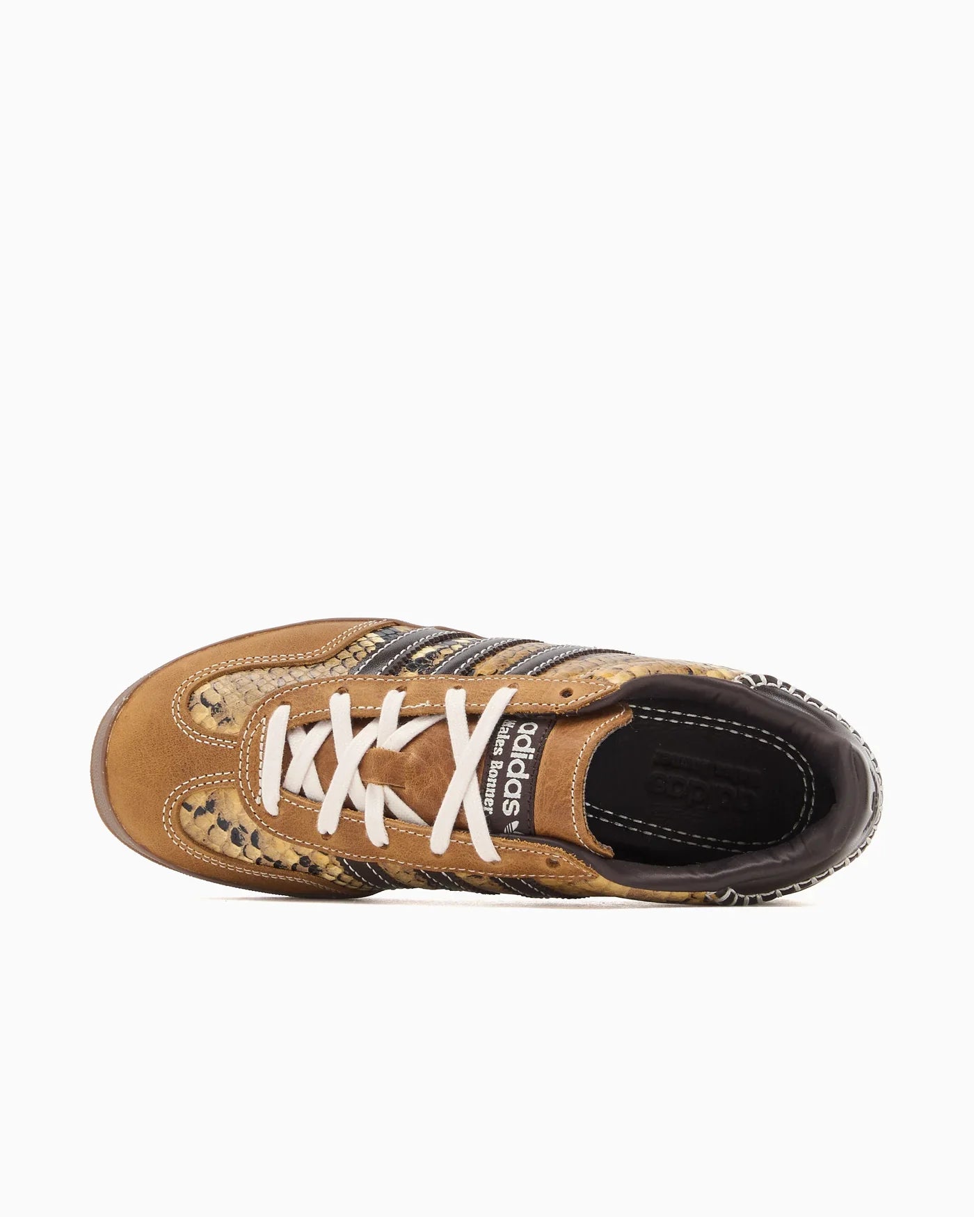 adidas Gazelle Indoor Wales Bonner imprimé peau de serpent
