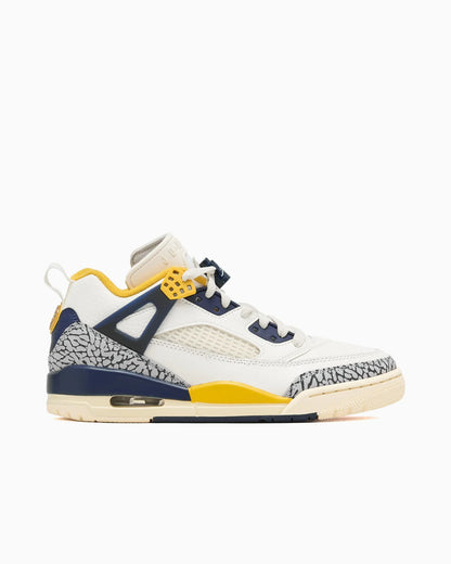 Jordan Spizike bas Michigan