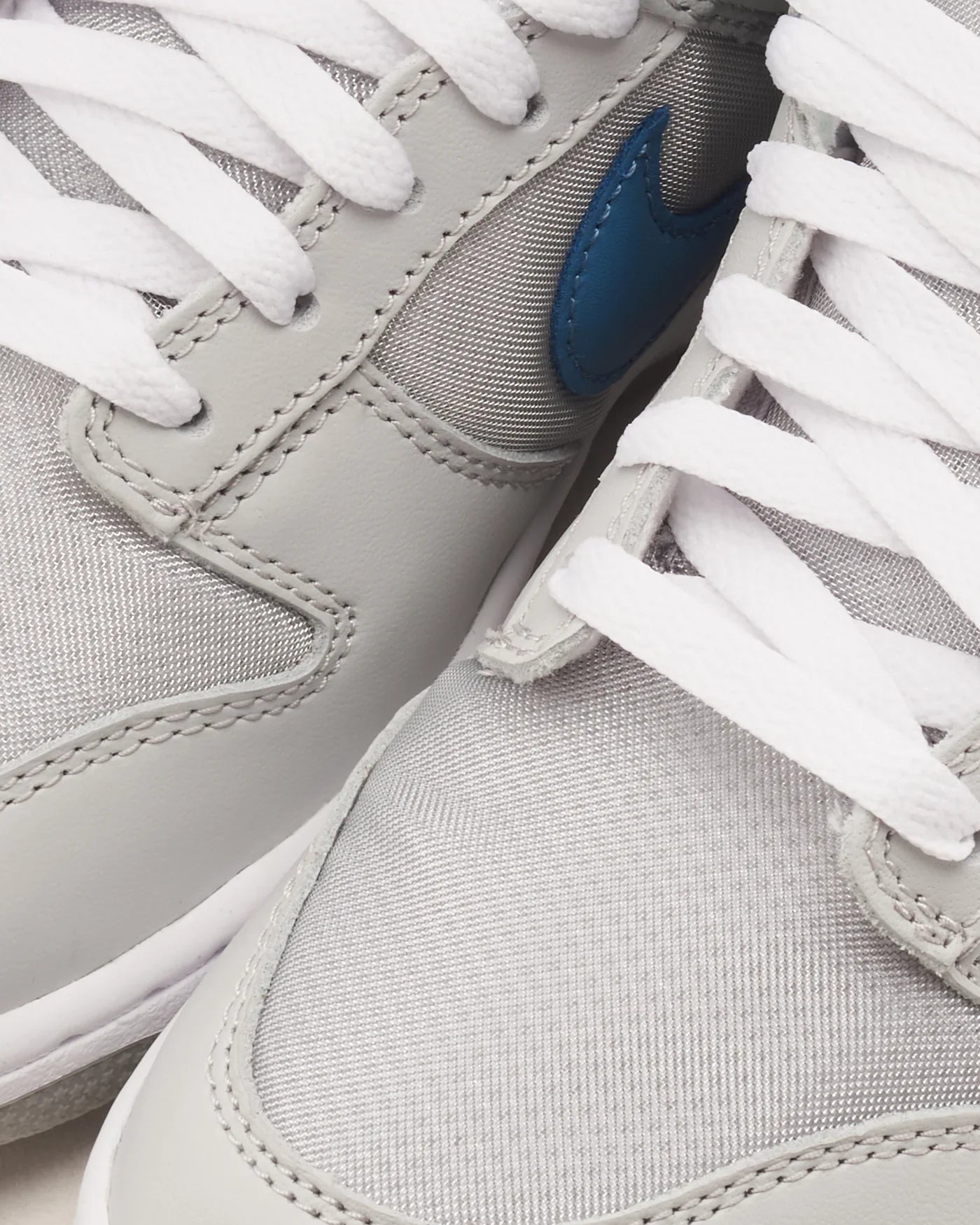 Nike Dunk Low Surfer d’argent (2024)