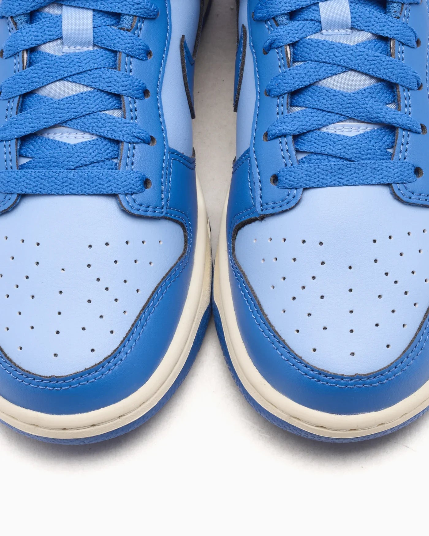 Nike Dunk Low Bleu Psychique