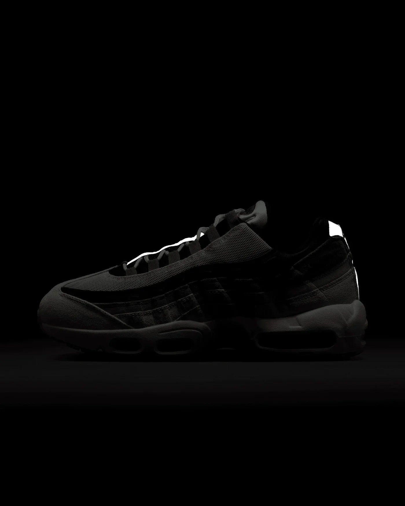 Nike Air Max 95 SB Fleur de cactus